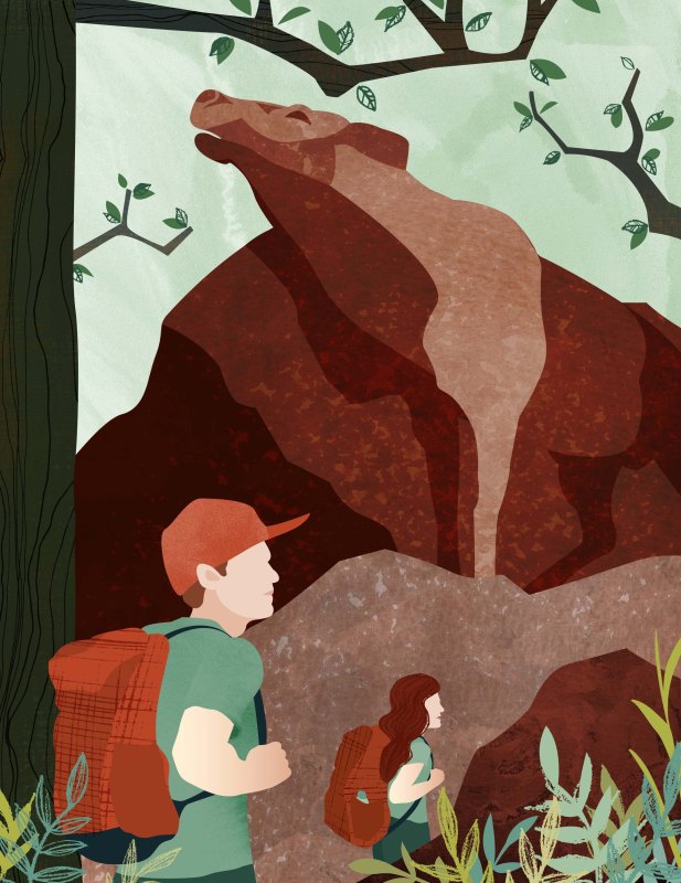 jessicadryden_forest__caribou